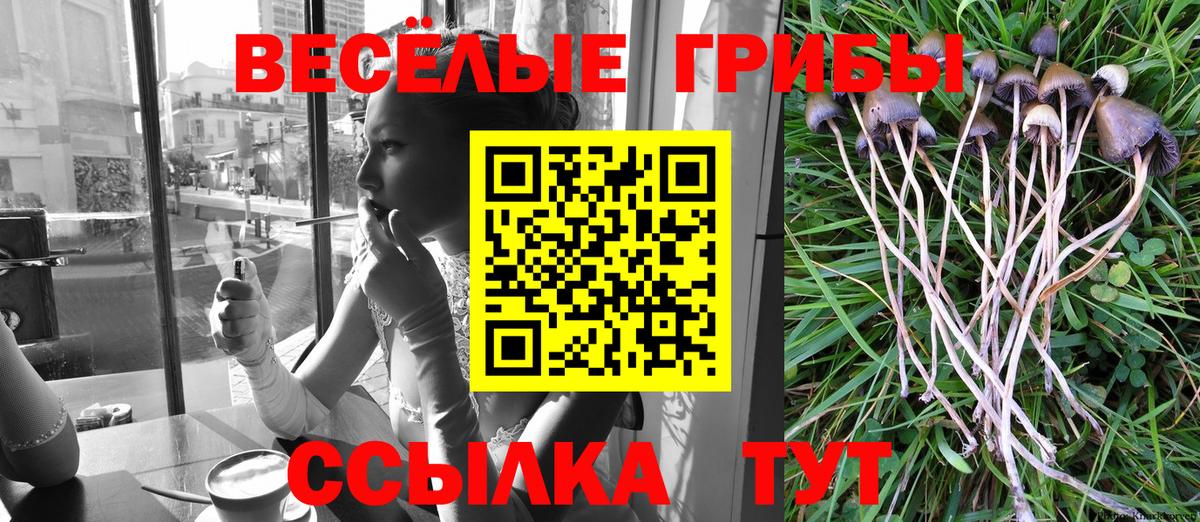 Псилоцибиновые грибы Magic Shrooms  как найти   Краснодар  Вход с VPN 